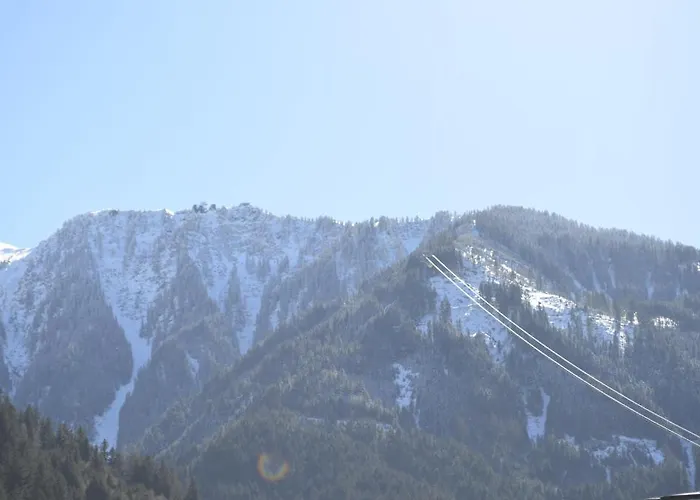 Hausberger Daire Mayrhofen